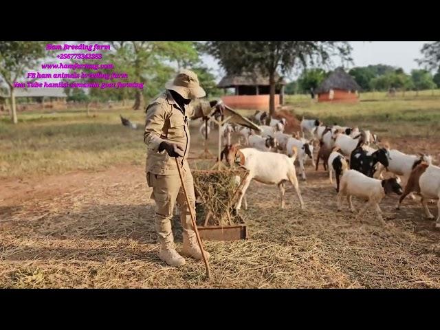 How to take care of kids when their mothers go for feeding in the field  for better performance