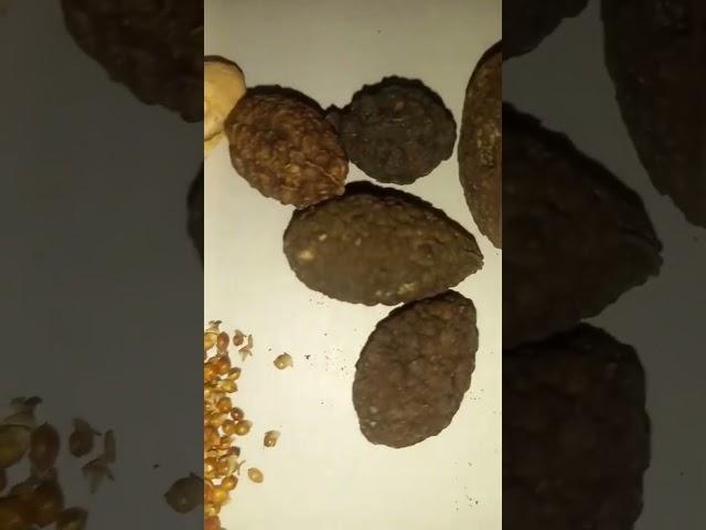 الوصفات الناجعة لعلاج الامراض الشائعة