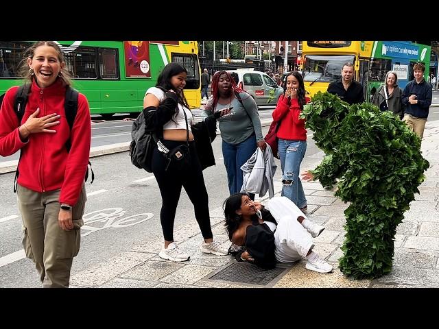 Crazy what just happened Bushman Prank