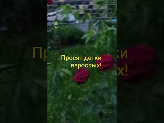 Подумайте о детях!?