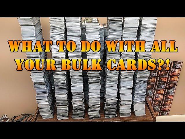 How to Sort and Store 40,000 Cards!