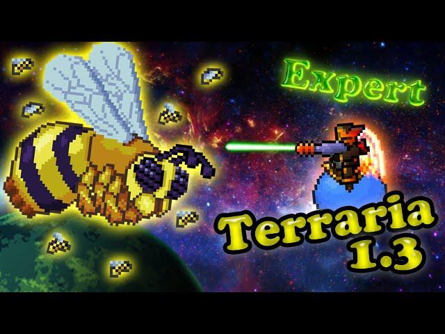 Terraria 1.3 (Expert) - Королева пчёл (Queen bee)