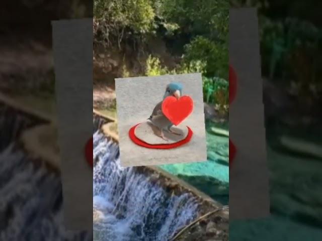 دروس دينية متنوعة