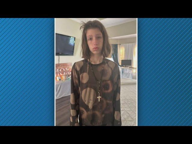 Have you seen Alyssa Umbaugh? Clay County detectives searching 'tirelessly' for missing teen