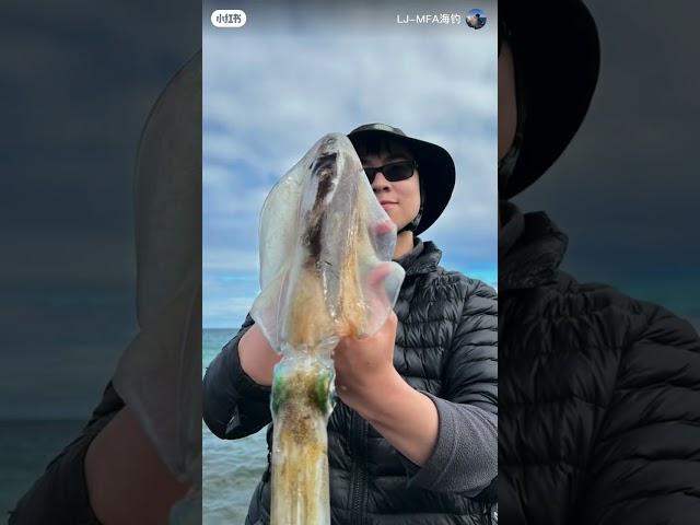 Squid / Eging Fishing Courses（MFA fishing Style）