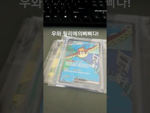 릴리에 의 삐삐