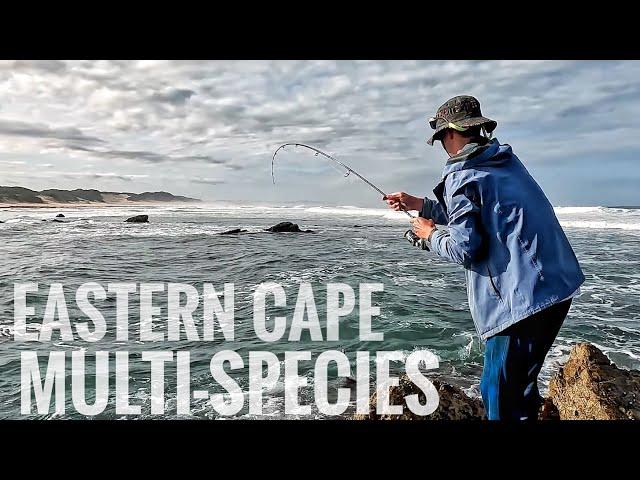 Light Tackle Fishing Rocky Gullies on the South African Coast! (Cracker, Steenbrass and Blacktail)