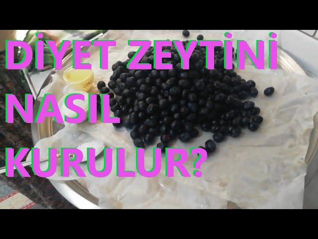 Siyah Zeytin Nasıl Kurulur?(Tuza perhizi olanlar İçin)