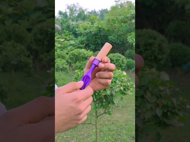 DIY Bamboo Creation with Colourful Balloon Slingleshot #Diy #Slingshot #Bamboo