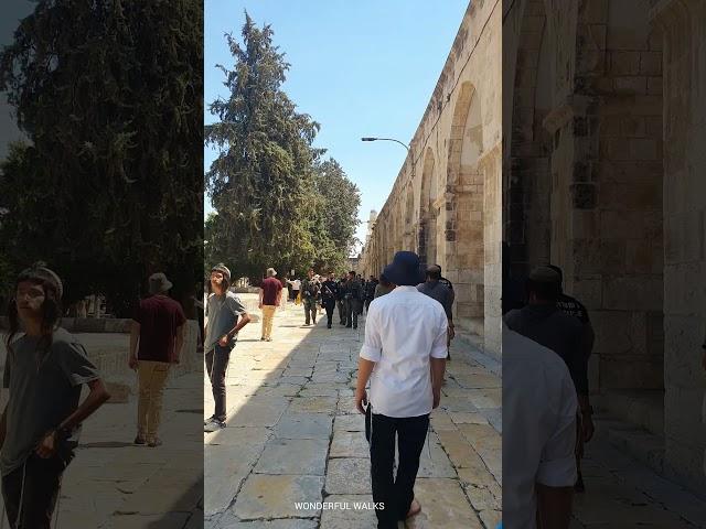 Jews ascended the Temple Mount, Tisha B'Av 2024, Jerusalem, Israel