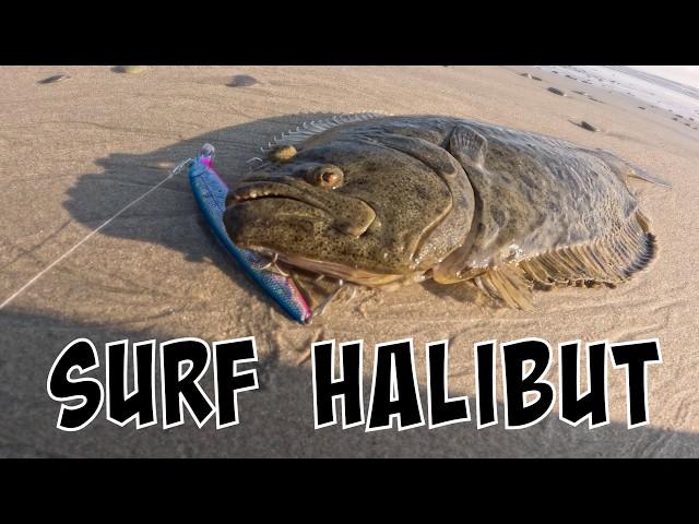 Sticking with it! SoCal Surf Fishing LEGAL Halibut [Lucky Craft Flash Minnow]