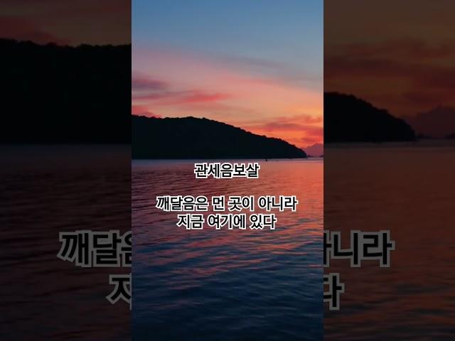 관세음보살 오늘도 불교신자 채널에서 기도하세요 댓글에 소원을 작성해주세요