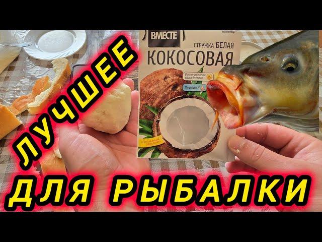 НАСАДКА СПАСЁТ ТВОЙ Улов! Карась Карп Плотва,скажут спасибо!!Кокос для рыбалки 2025.