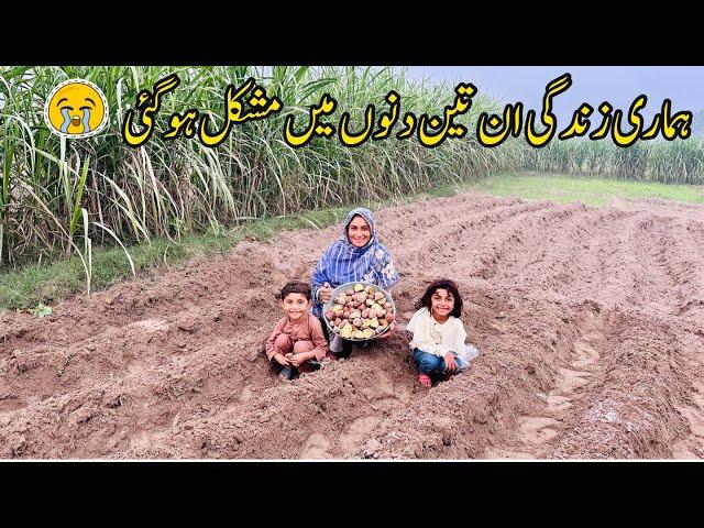 Hamari Zindagi En 3 Dinoun Main Mushkal Ho Gai I Village Woman Farmer