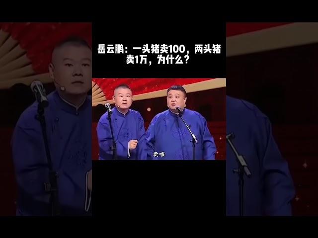 #shorts岳云鹏：一头猪卖100，两头猪卖1万，为什么？#德云社 #相声 #郭德纲 #于谦 #郎鹤炎 #张鹤伦 #岳云鹏 #孟鹤堂 #郭麒麟 #搞笑 #funny #周九良