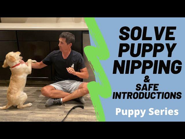 Puppy nipping is a huge problem, watch my unique method to minimize it.