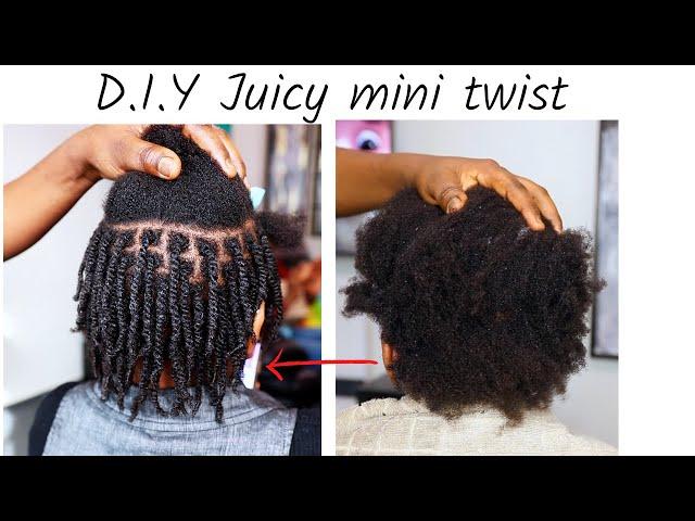 D.I.Y Juicy Mini Twist on Short/Medium 4c Natural Hair