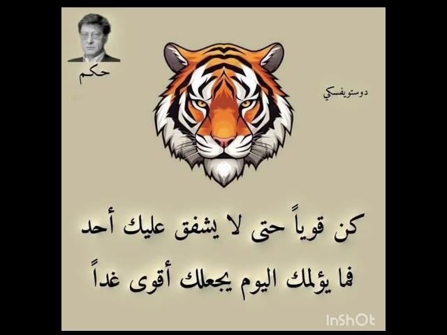 أقوال وحكم