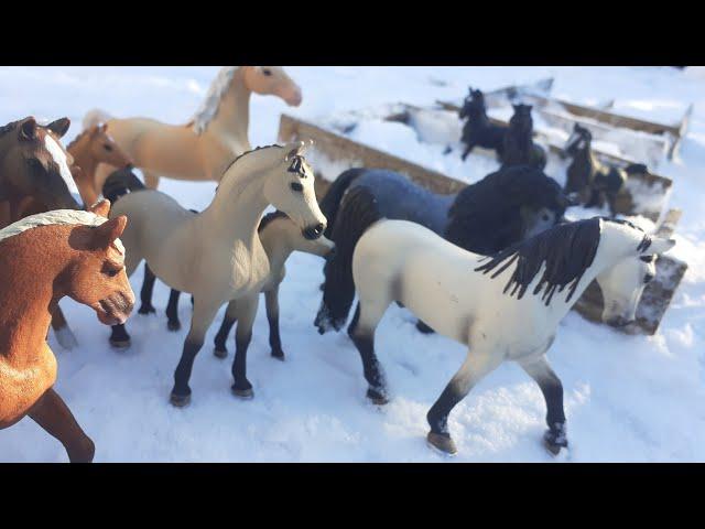 Die schwarze Herde|Schleich Serie|Folge 1 STAFFEL 23000 Abospecial!