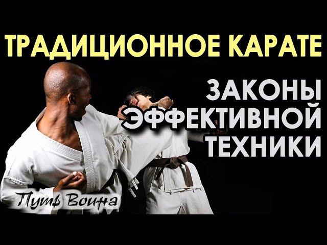 Традиционное Карате: законы эффективной техники.