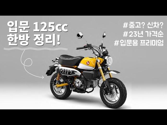 입문용 바이크 추천 23년 총정리 2편! | 가격순 프리뷰 | 125cc 오토바이 입문 초보자 필독