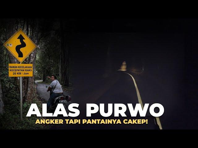 Eps.4 Sewa Motor ke ALAS PURWO! Hutan Paling Angker di PULAU JAWA