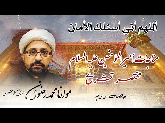 MAULANA MUHAMMAD RIZWAN AVD | MUNAJAAT E AMEER UL MOMINEEN (A.S) | CLIP 02 | BURRAK ORGANIZATION