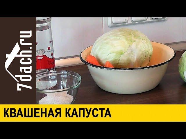 Квашеная капуста: простой способ без перетирания - 7 дач