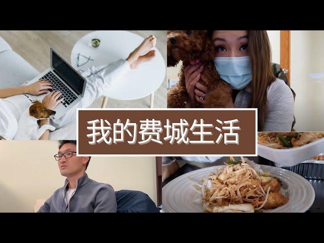 我的费城生活vlog 3|房产经纪人的一天|发工资|老板感慨费城东北区2004年排屋才8万美金