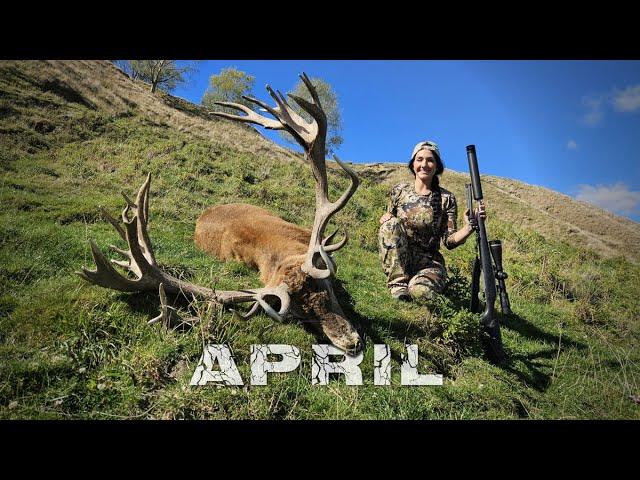 April, Red Stag Hunting New Zealand.