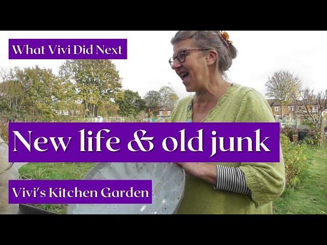 Vivi's Kitchen Garden: New life & old junk.