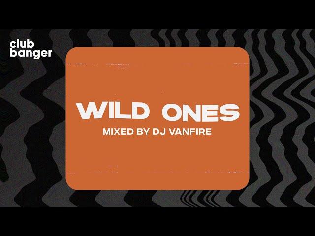 CLUB BANGER ORIGINAL - WILD ONES (VANFIRE FT. FLO RIDA, SIA)