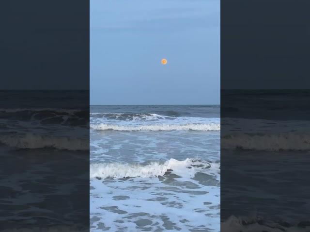 The Moon Shining Brightly over Peters Point Park in Amelia Island, Florida #shorts