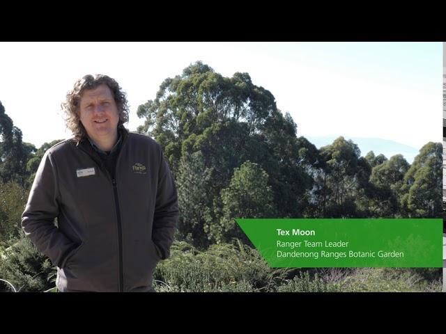 Meet our rangers at Parks Victoria this World Ranger Day