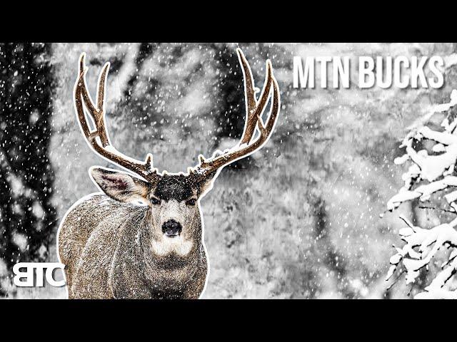 BIG MTN BUCK | WINTER RANGE | BTC 4K