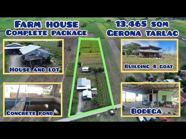 lpt575 kumpletong property, bahay,bodega,kulungan ng kambing,baboy,manok,taniman ng palay,gulay,mais