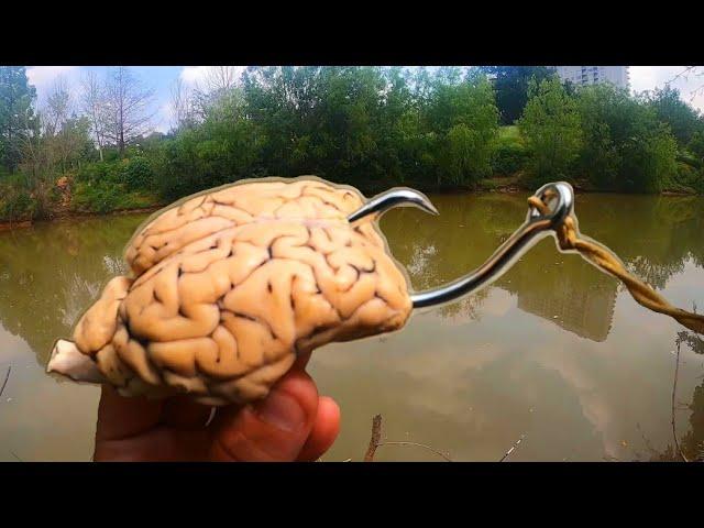 BRAIN for Bait Catches Monster Fish!