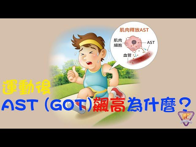 運動後 AST （GOT）飆高為什麼？｜好心肝˙好健康