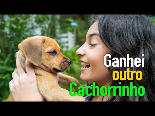 Ganhei OUTRO Cachorrinho  a JENI - Yasmin Verissimo