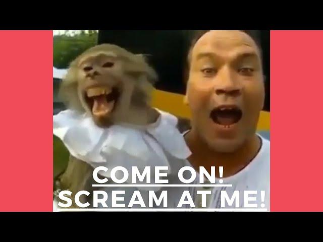 COME ON! SCREAM AT ME!  l Crazy Fun l Funny Videos 