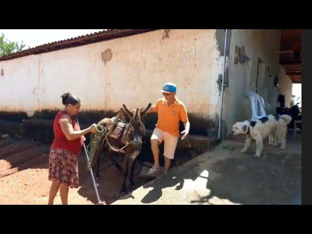 bastidores  !! Seu Mané comprou um jumento pra carregar água  !!