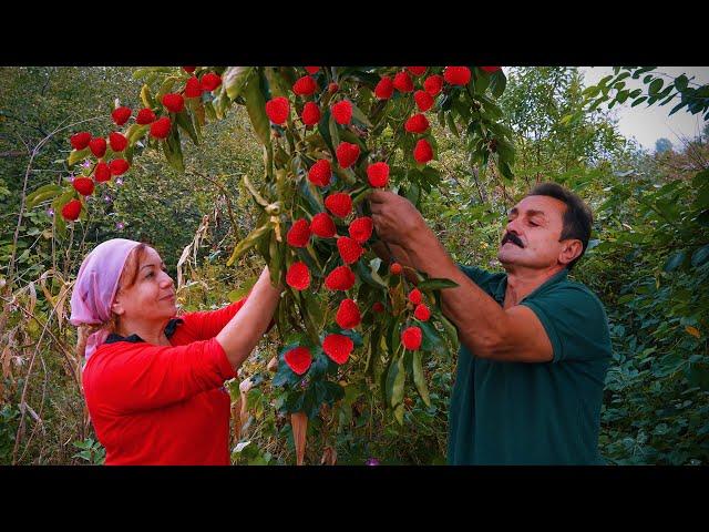 EXOTİC Fruit Harvesting in the Mountain Village | Cook Delicious Fruit Cake Without Oven