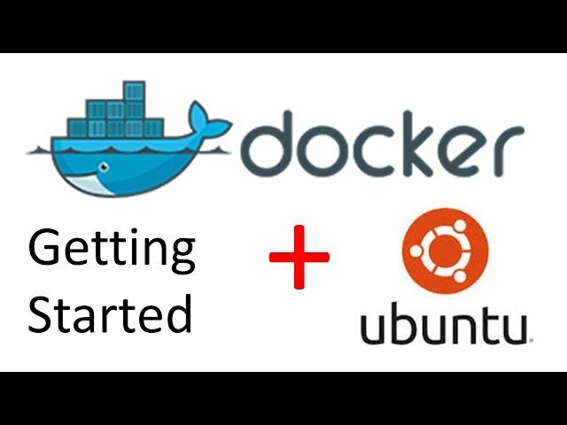 Docker quick start and useful commands