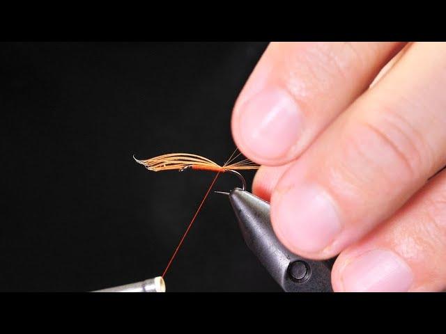 The Holy Grail Of Trout Flies!?!