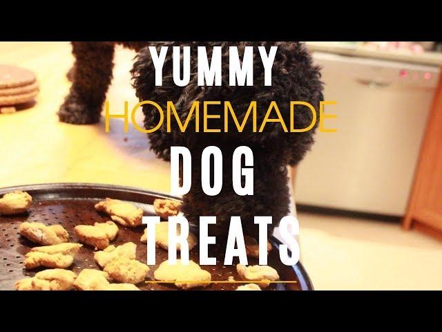 Homemade Dog Treats - Healthy and Yummy!