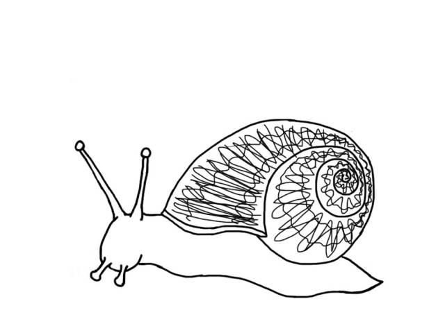 Snail Moving Head