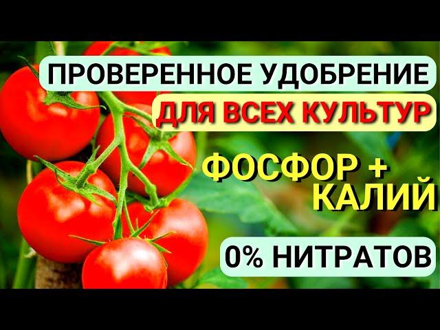 Незаменимое УДОБРЕНИЕ! Источник КАЛИЯ и ФОСФОРА. Личный опыт использования МОНОФОСФАТА КАЛИЯ!