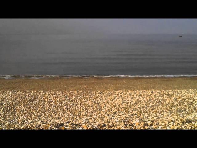 Selsey with the syma x5c