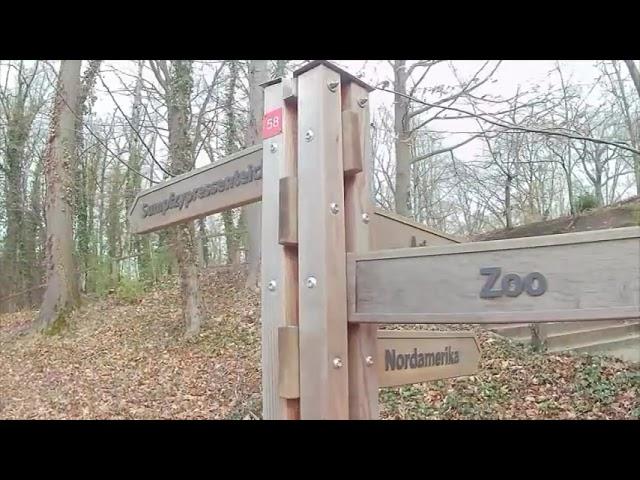 Neue Lauf Wanderschuhe und Gedanken zu den Megamärschen M`Gladbach und Hamburg