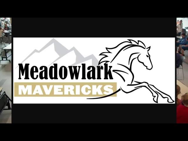 Meadowlark Studio Live Stream